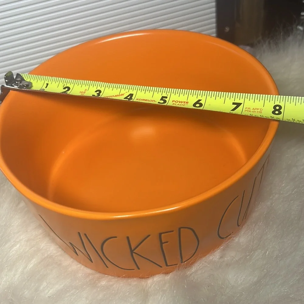 RAE DUNN WICKED CUTE DOG BOWL